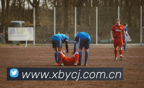 开云手机网页登录网页APP 封面图